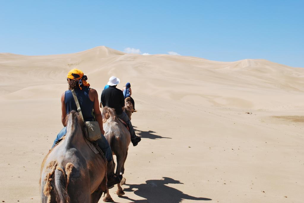 Golden Gobi Hostel & Tours Ulan Bator Exteriör bild